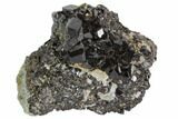 Black Andradite (Melanite) Garnet Cluster - Kazakhstan #102447-1